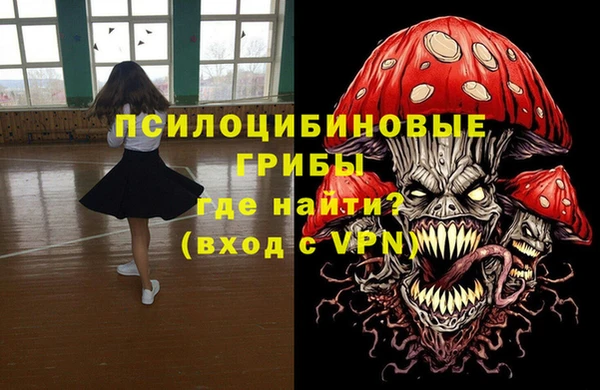 ГАЛЛЮЦИНОГЕННЫЕ ГРИБЫ Арсеньев