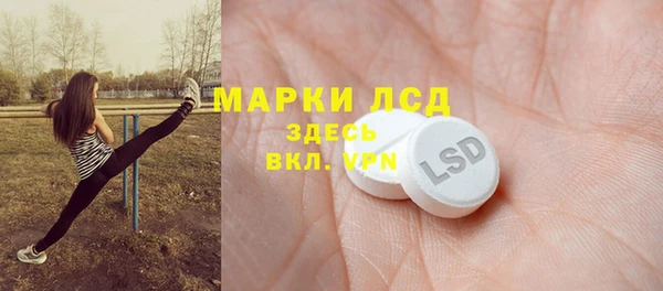 ГАЛЛЮЦИНОГЕННЫЕ ГРИБЫ Арсеньев