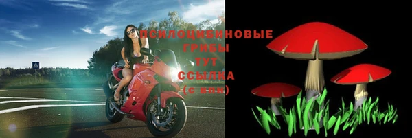 спайс Аркадак